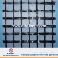 Plastic PP Polyester Pet Fiberglass Geogrid with CE Certificate